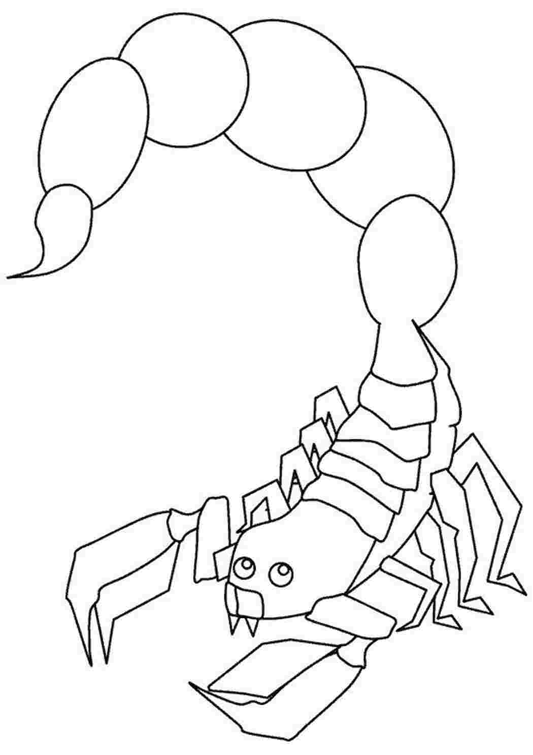 Раскраска Скорпион пустынный