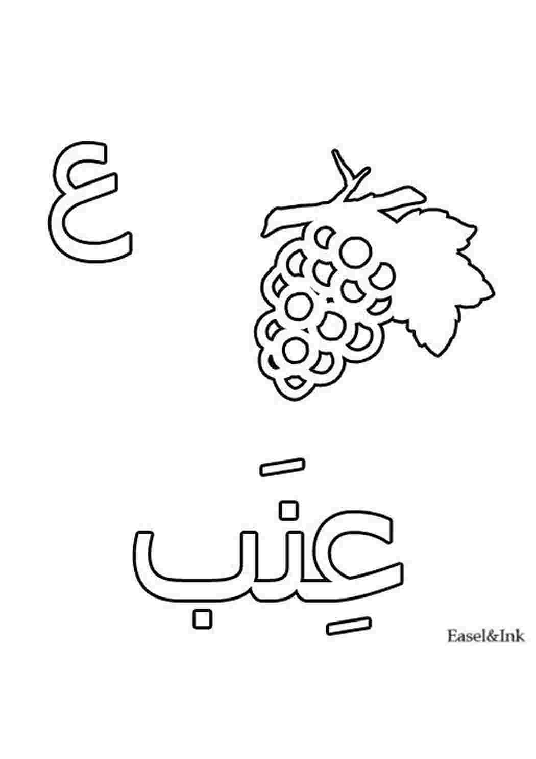 Раскраска Виноград