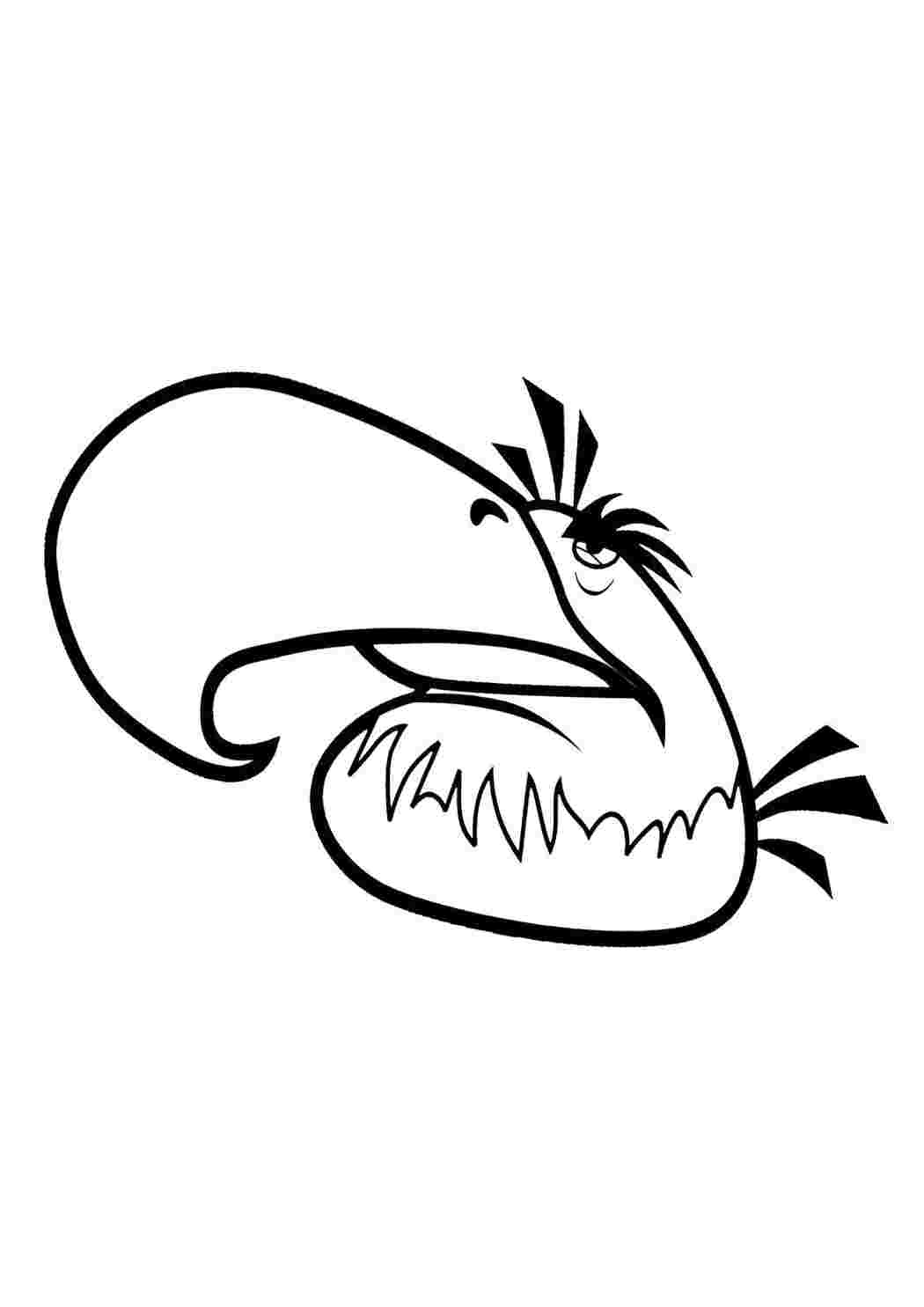 Раскраска Тукан