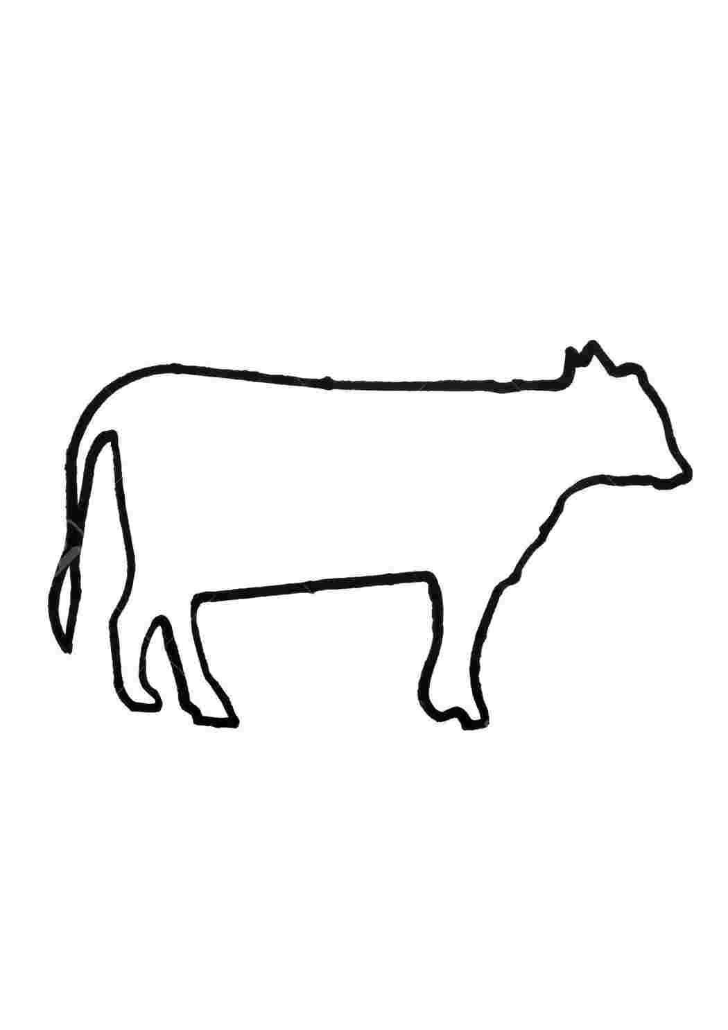 Корова рисунок