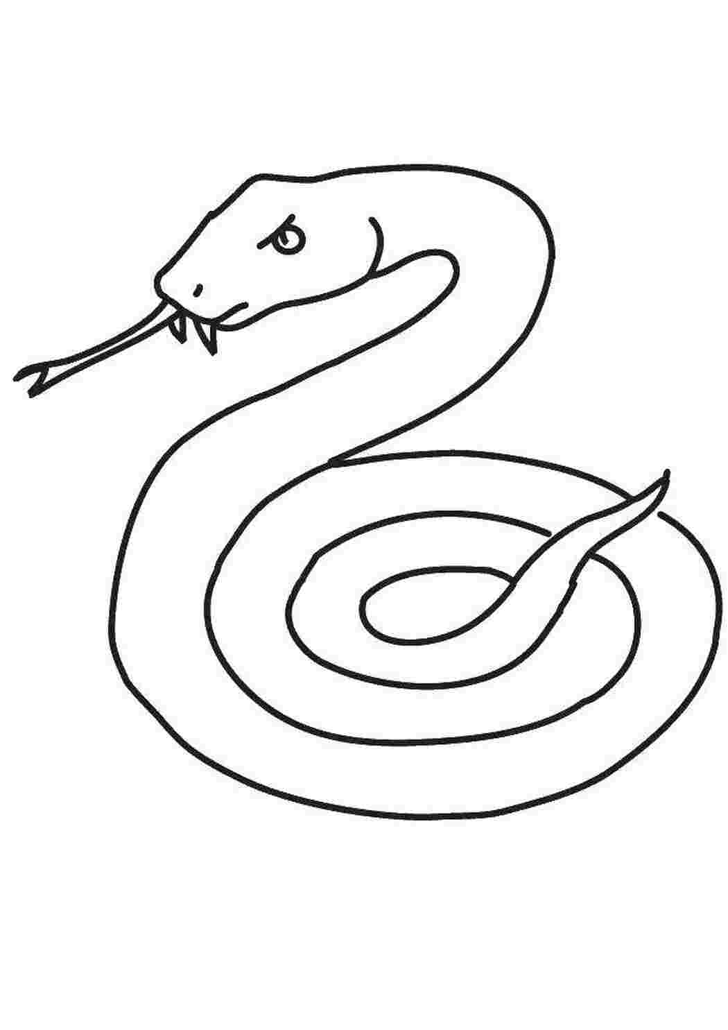 Раскраска Змея