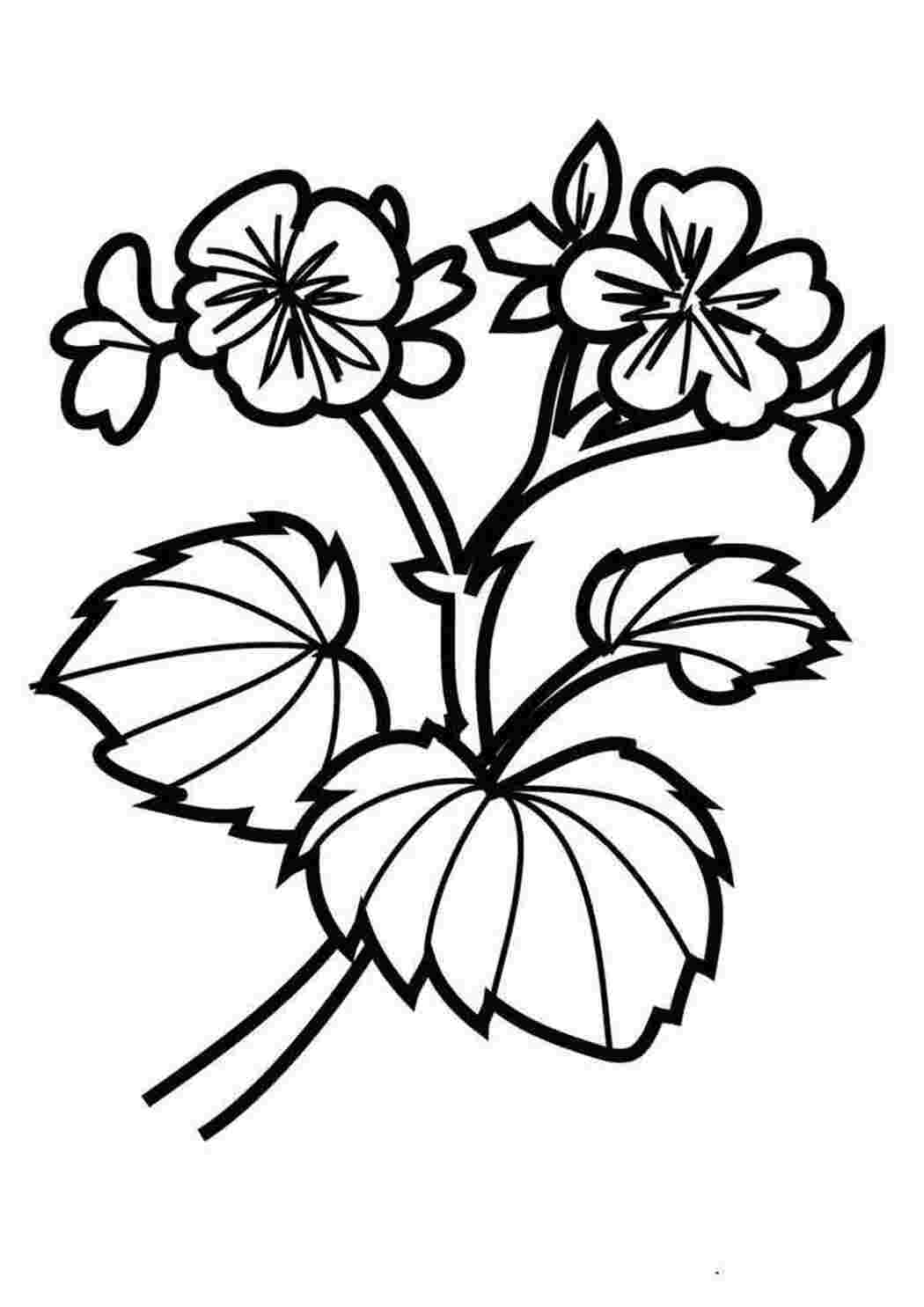 Раскраска Скачать или распечатать раскраску распечатать скачать