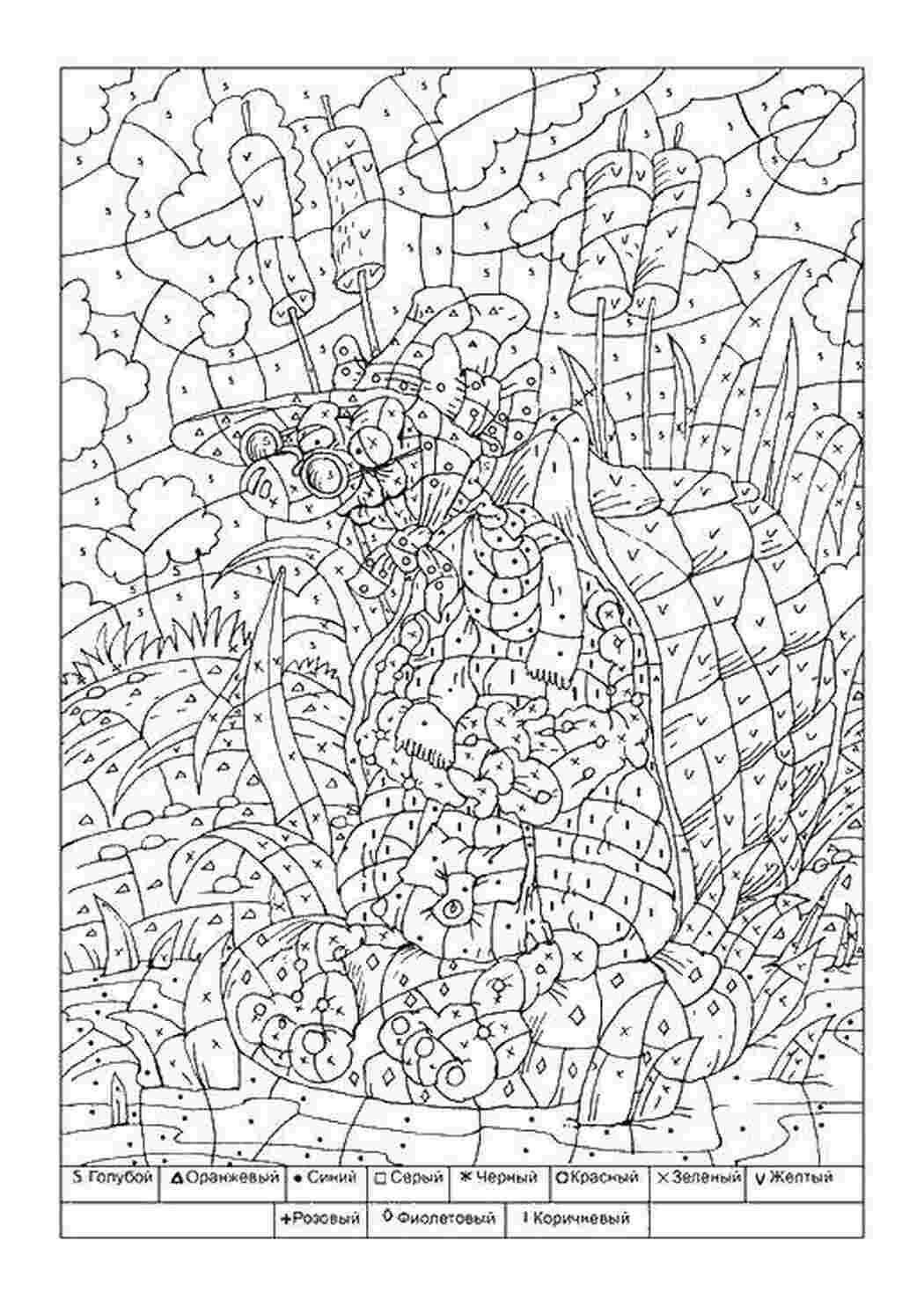 Раскраска Черепаха тартила