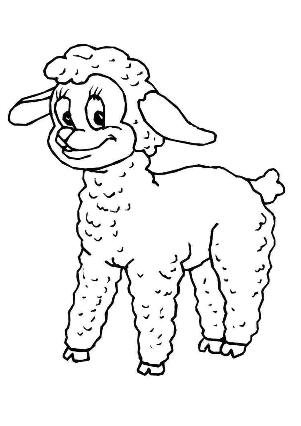 Раскраска Овечка