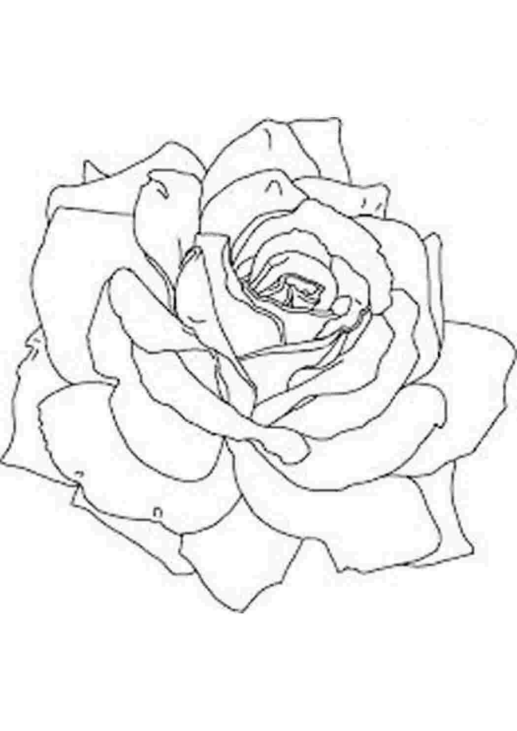 Раскраска Скачать или распечатать раскраску распечатать скачать