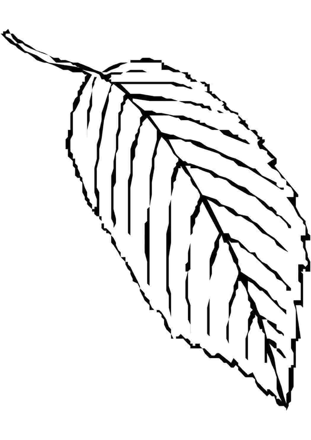 Раскраска лист