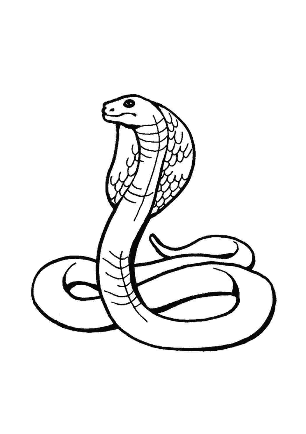 Змея карандашом для детей