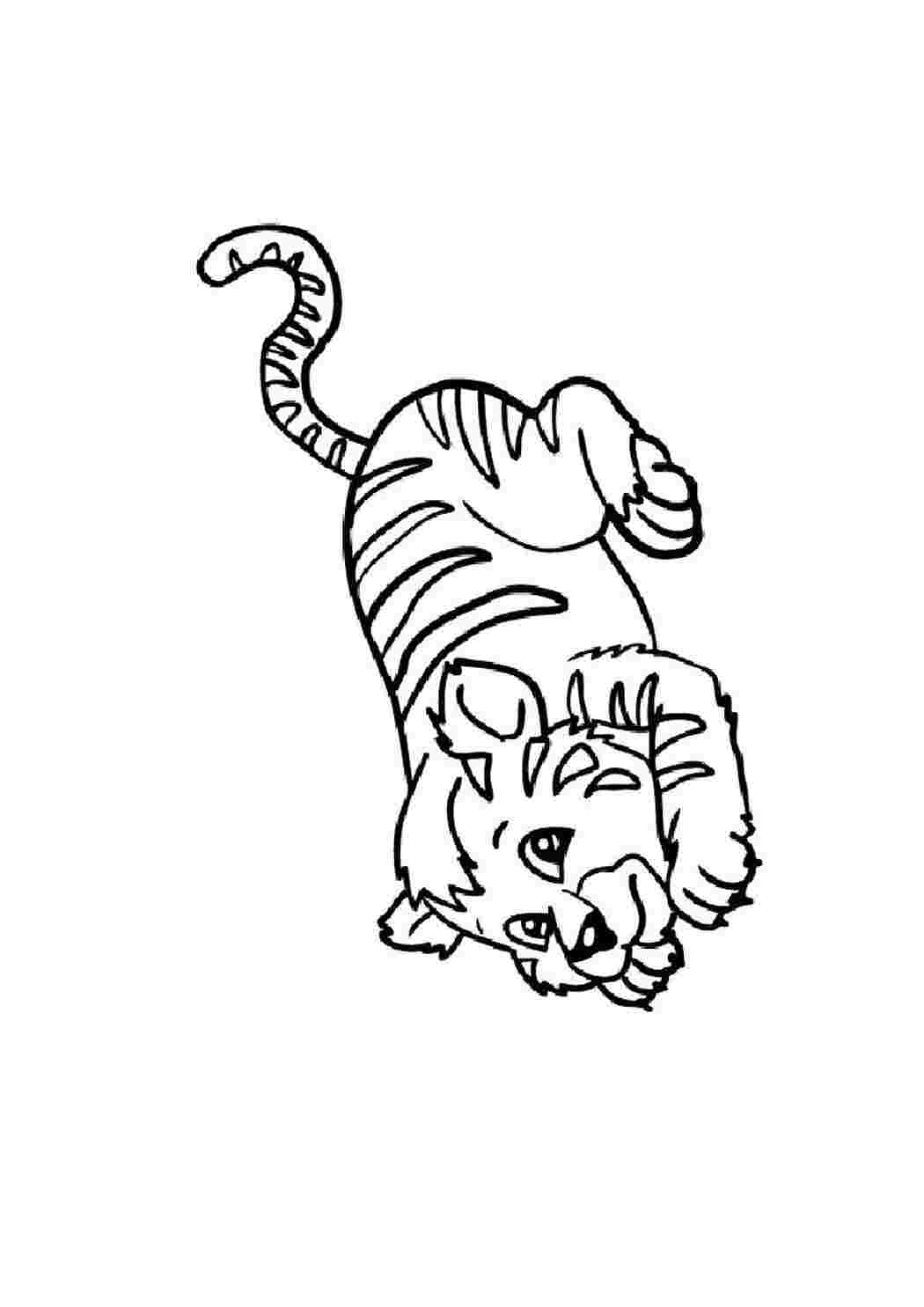 Тигр для раскрашивания детям