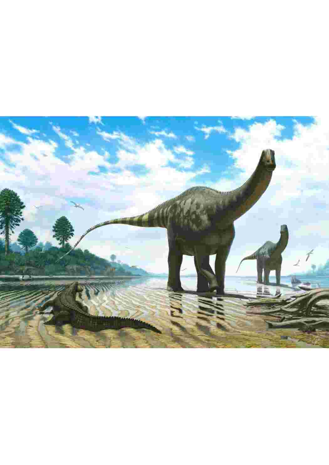 Раскраска динозавры большие разных видов динозавры