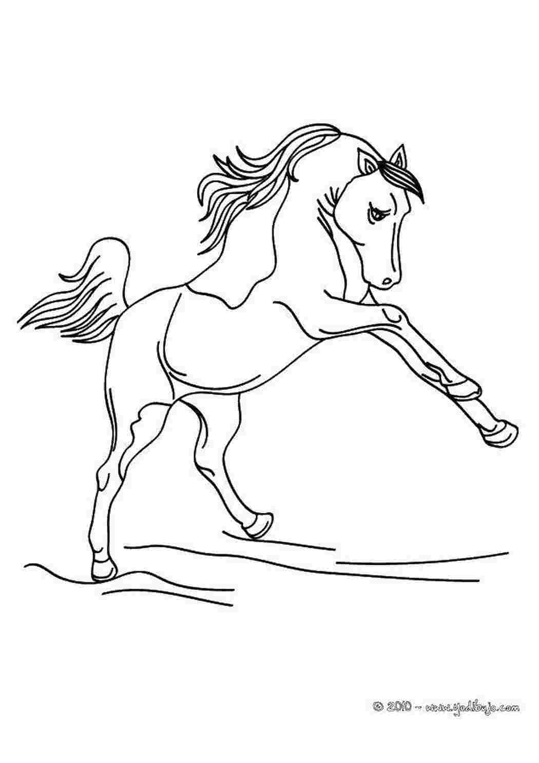 Башкирский конь раскраска