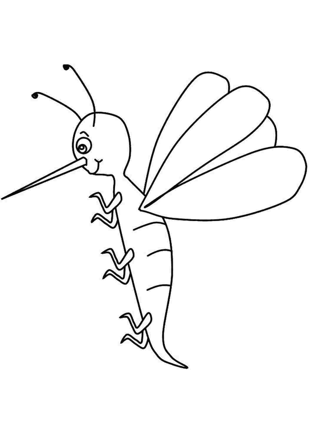 Раскраска Москит