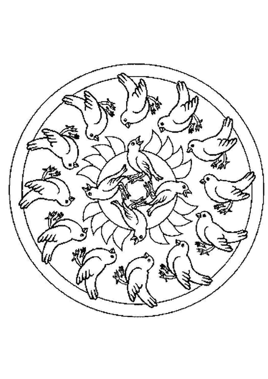 Раскраска Птички