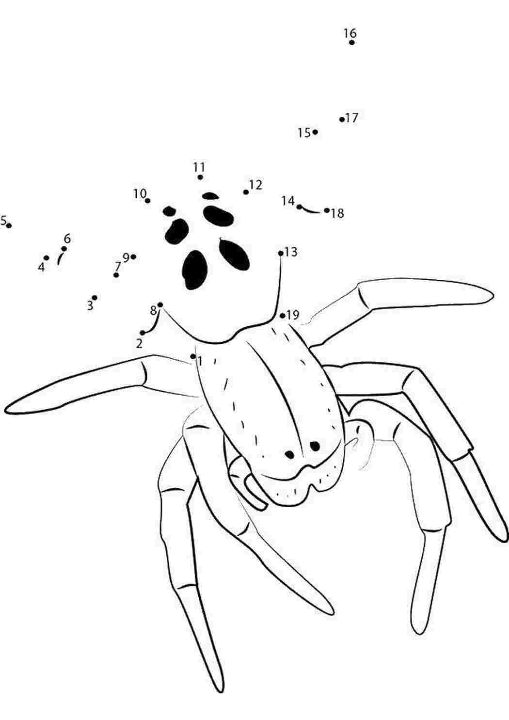 Рисование по цифрам насекомые