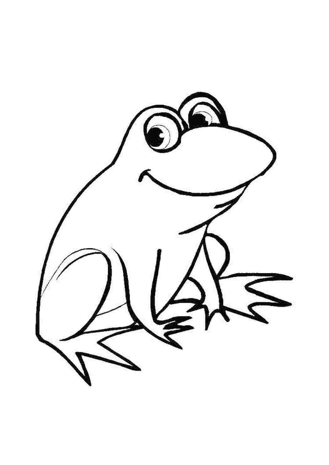 Раскраска Лягушка