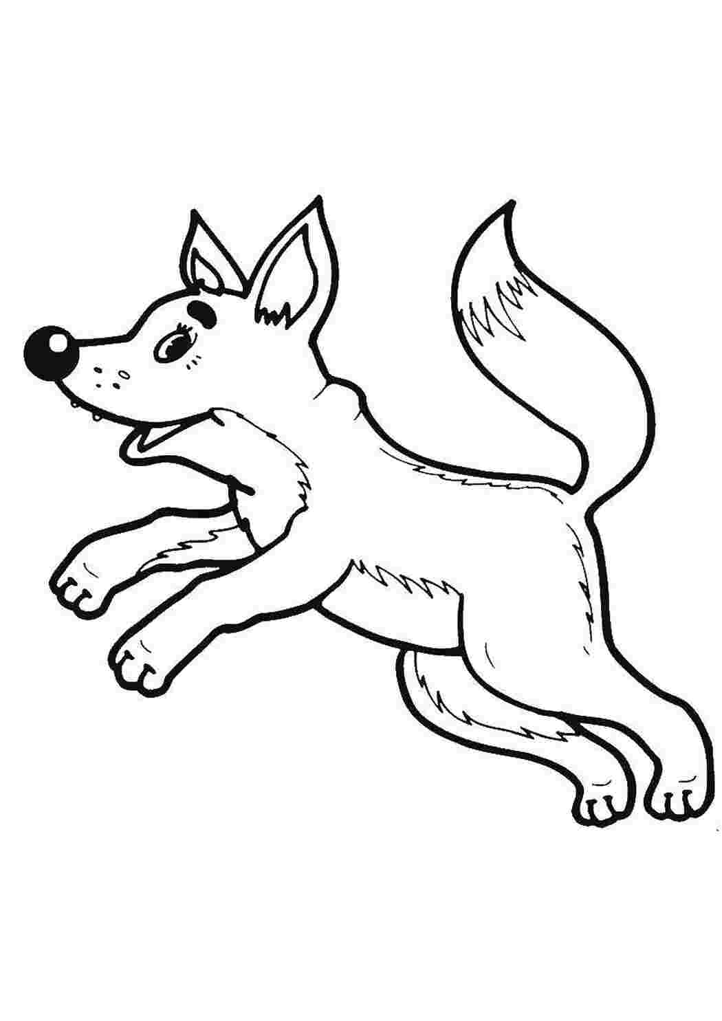 Раскраска Волк