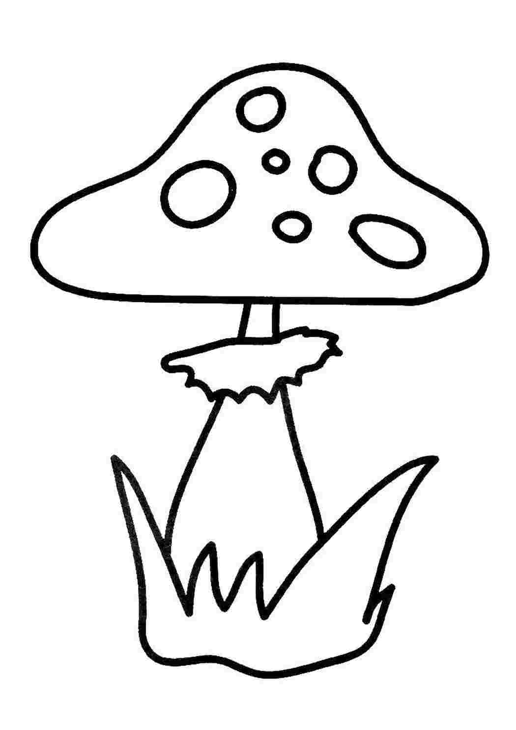 Раскраска Мухамор