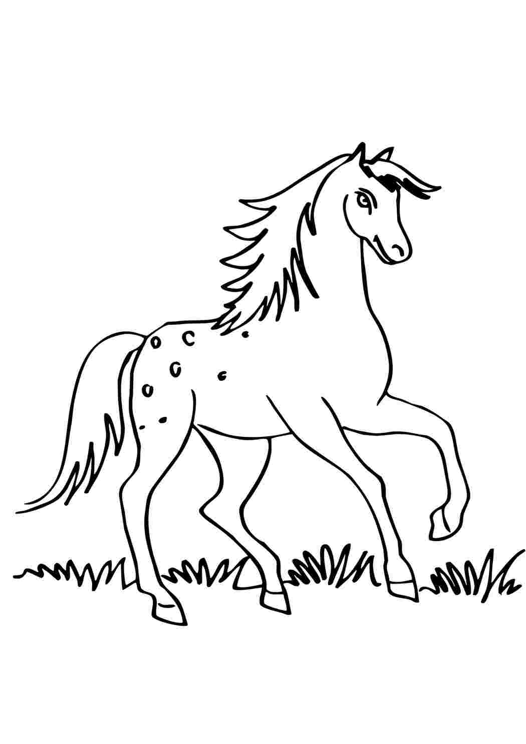 Раскраска лошадка