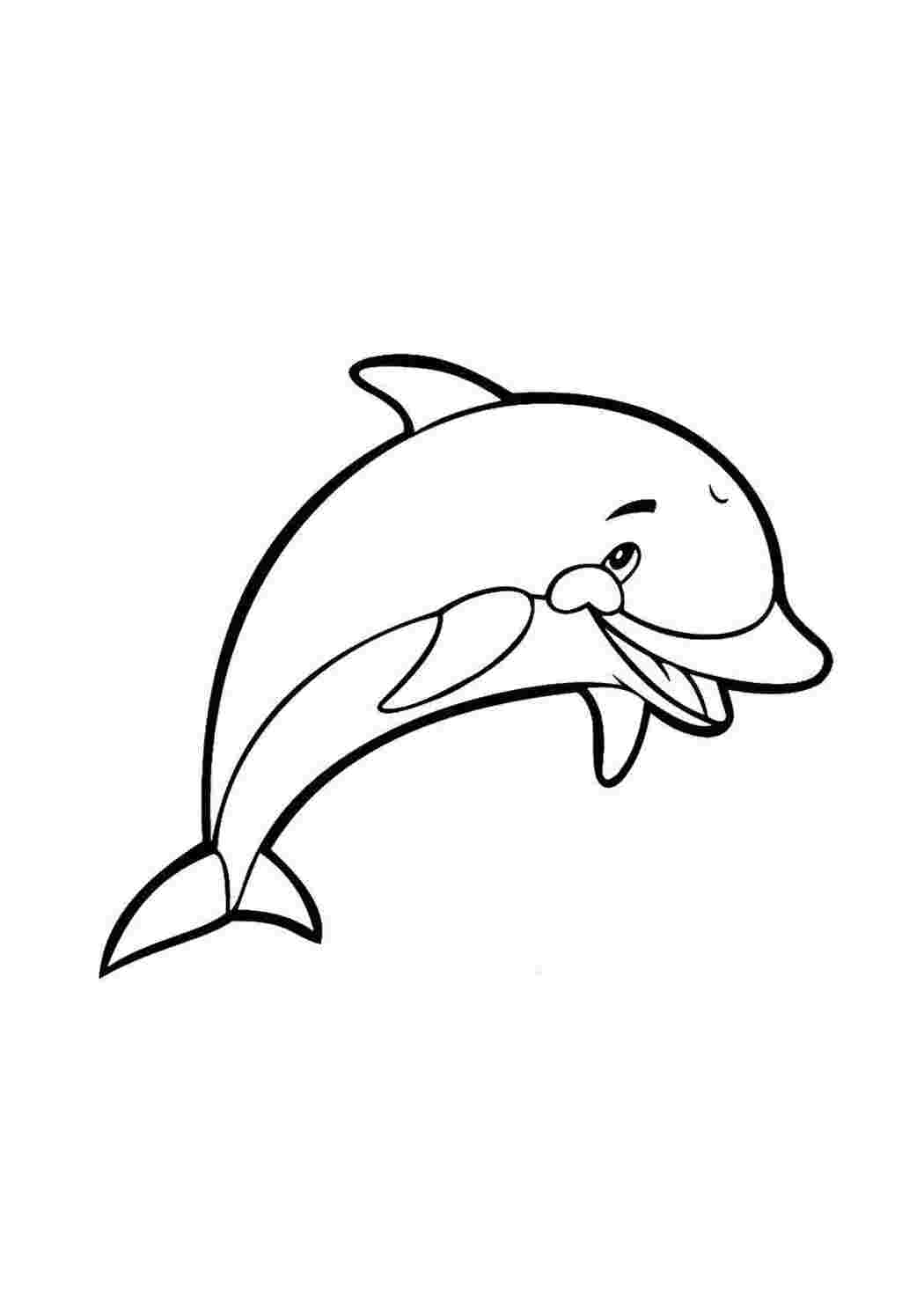 Раскрашивать дельфины. Раскраска Дельфин. Раскраска "дельфины". Рскраска Дрельмэн. Дельфин раскраска для детей.