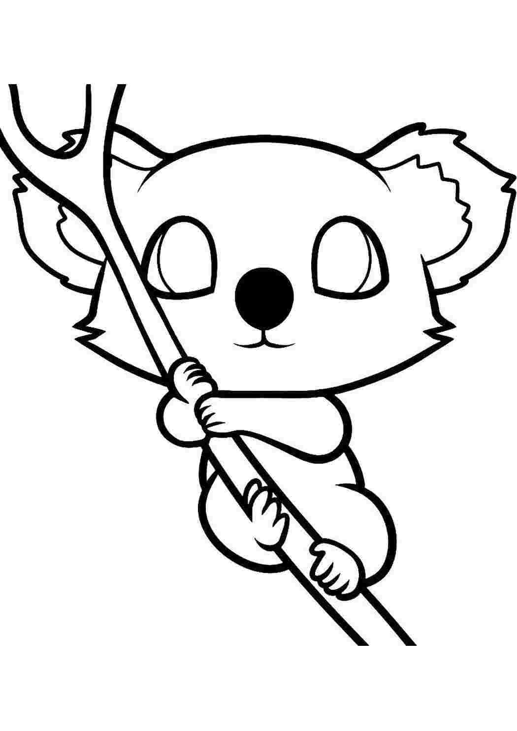 Коала рисунок
