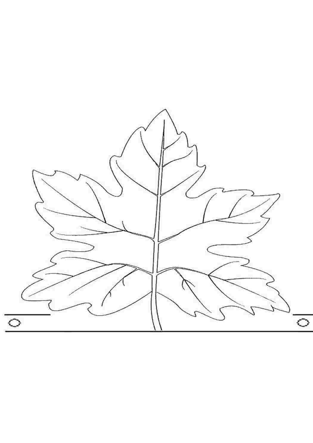 Раскраска Листок