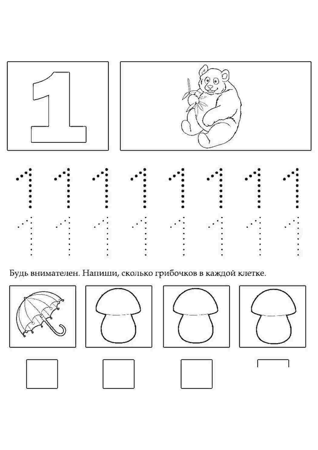 Раскраска Грибы