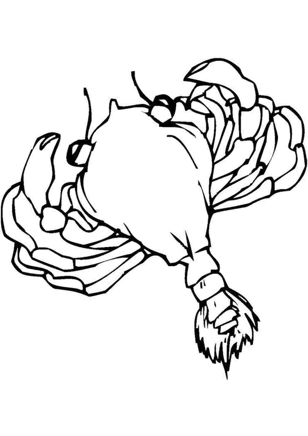 Раскраска crab