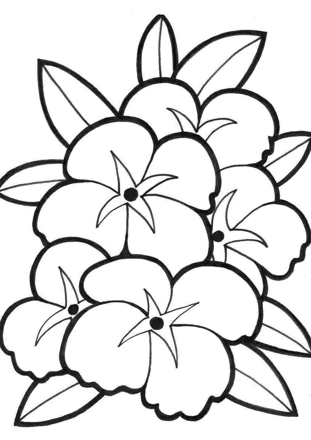 Раскраска Цветы