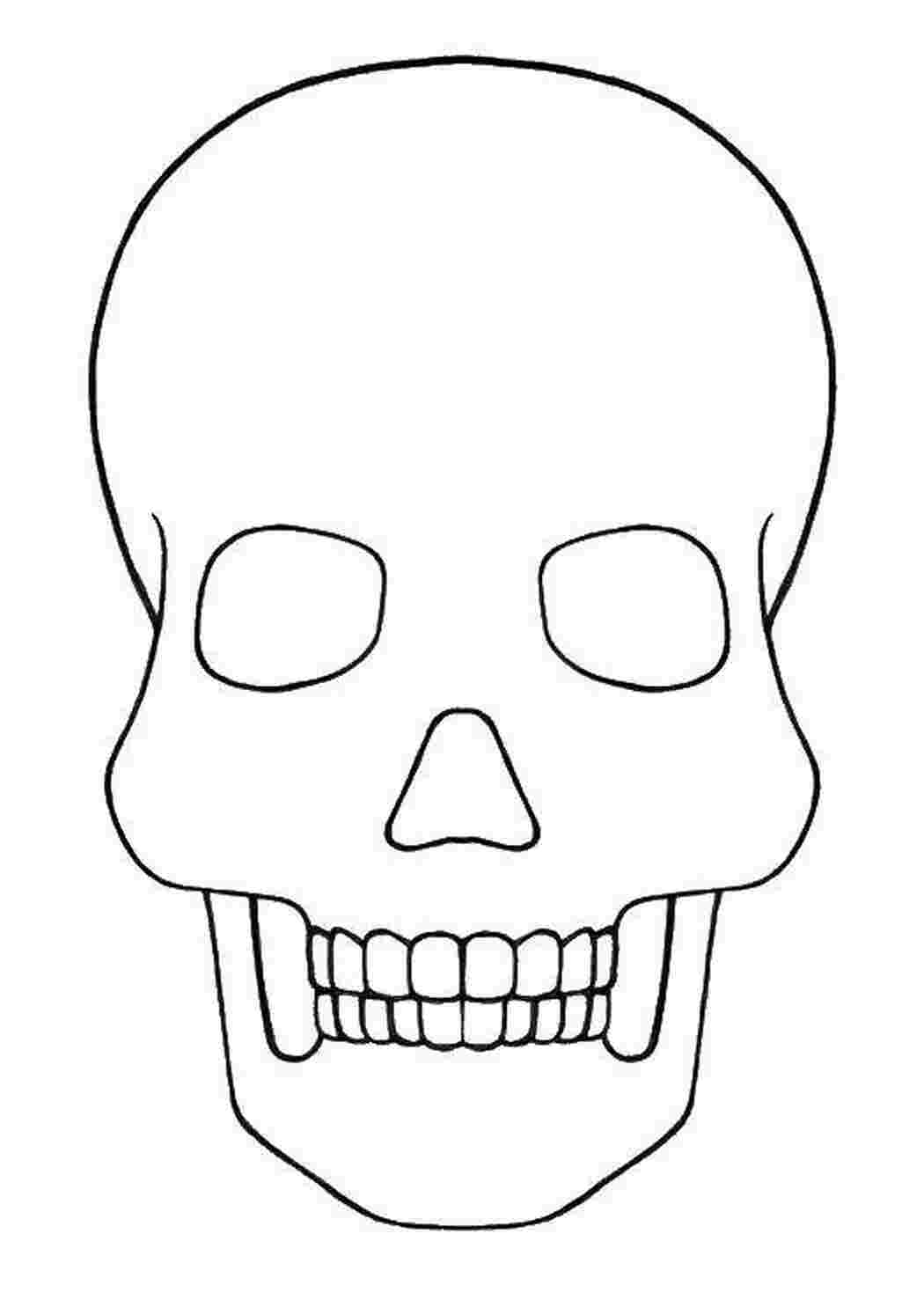 Раскраска Череп