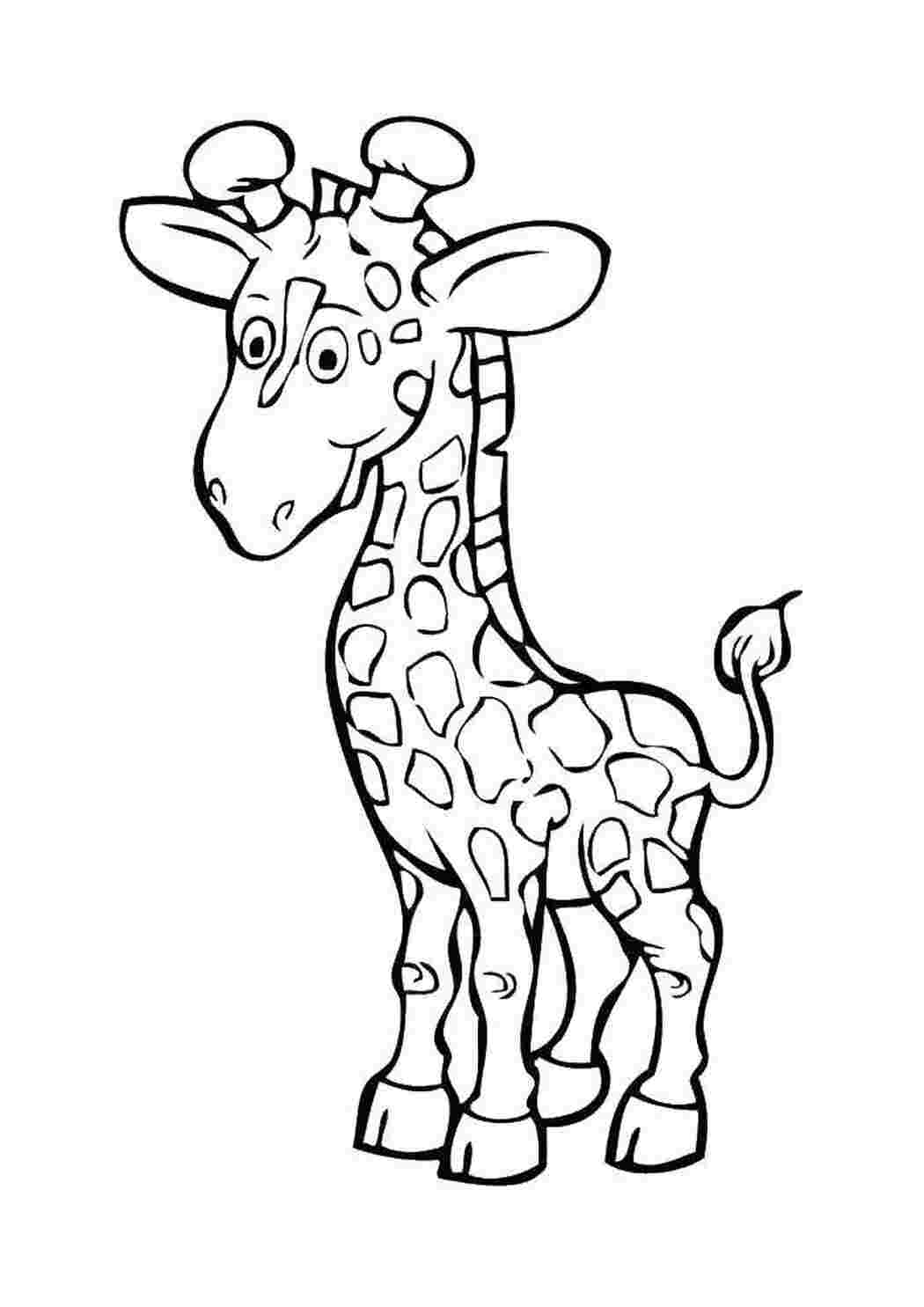 Раскраска Жираф