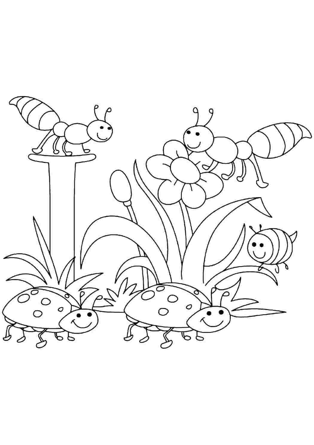 Раскраска Насекомые