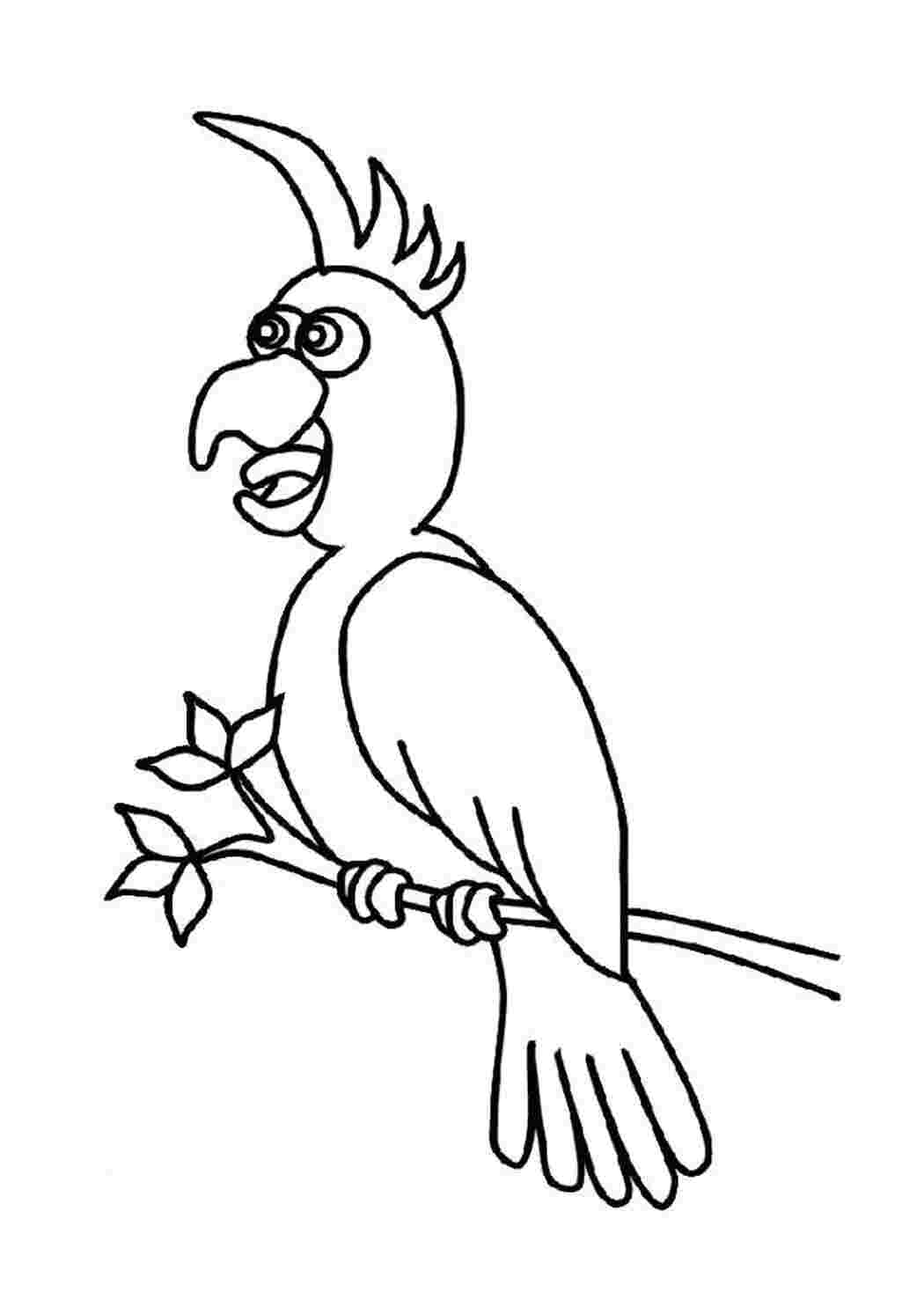 Раскраска Разукрашка попугай
