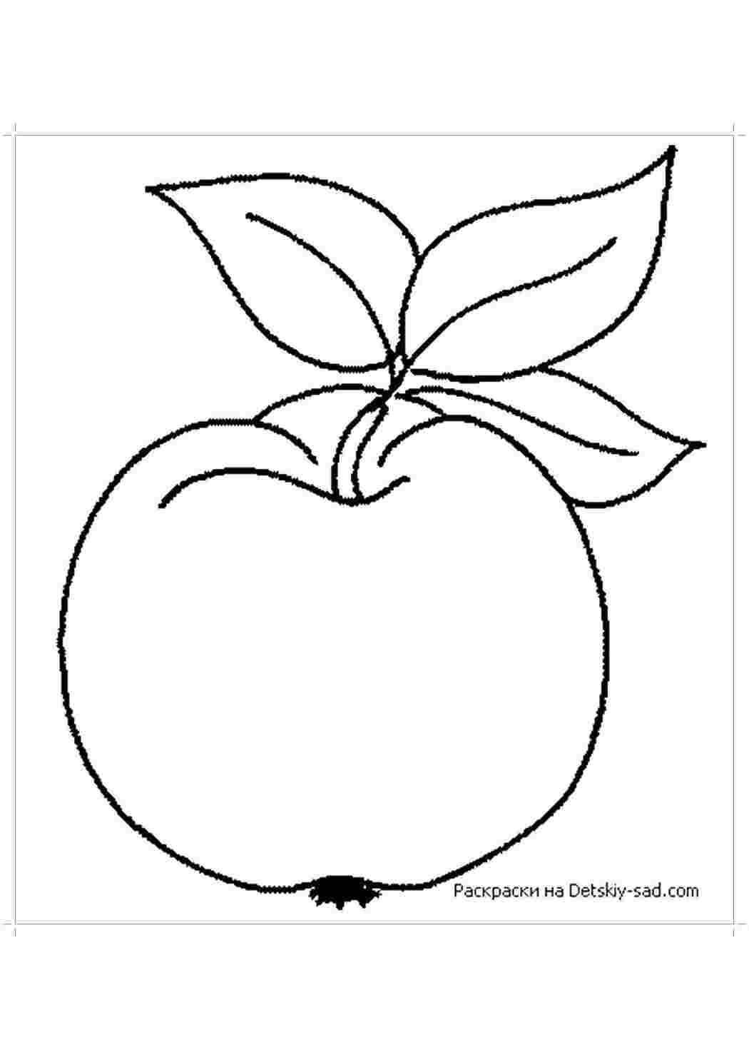 Раскраска Яблоко