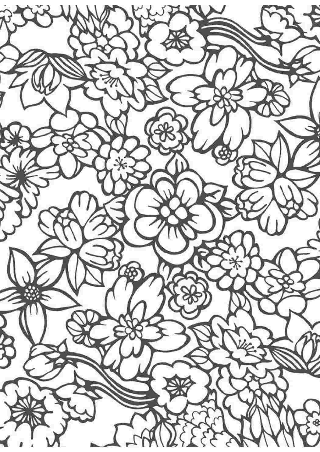 Раскраска Красивые цветы