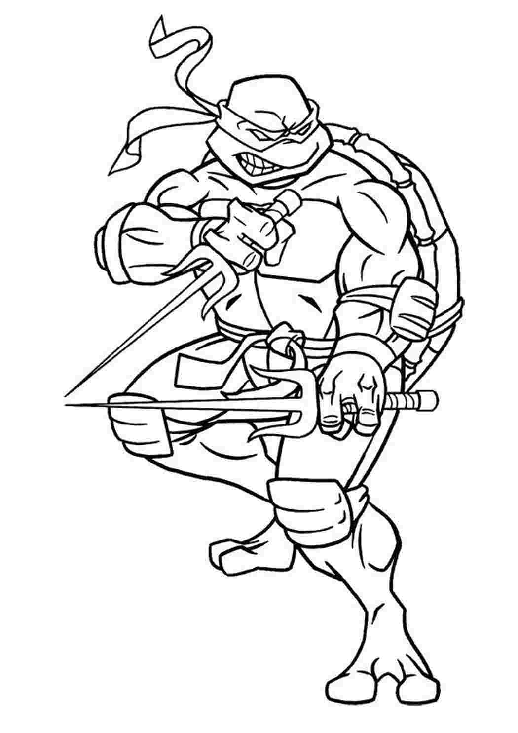 Раскраска Рафаэль