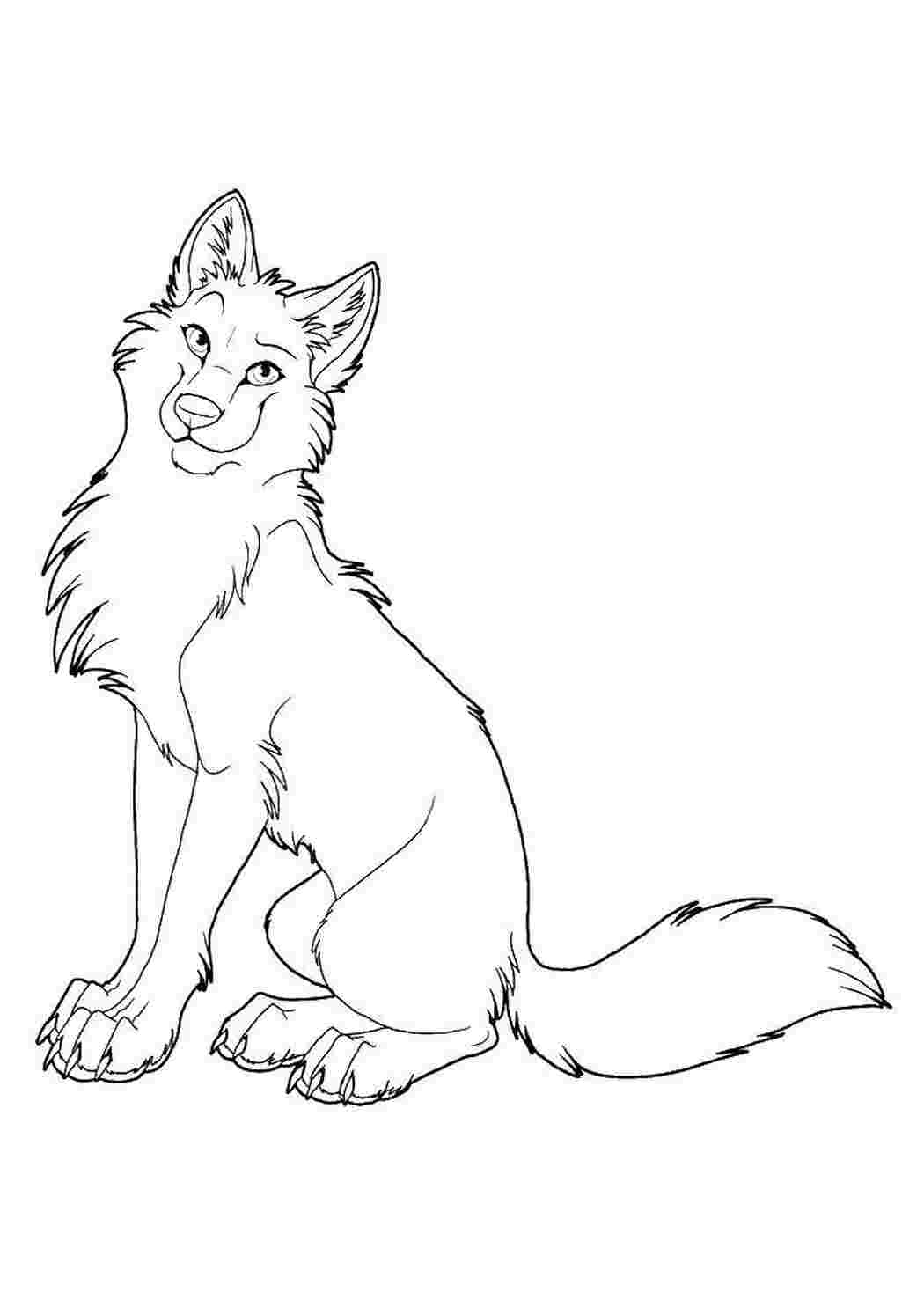 Раскраска Волк