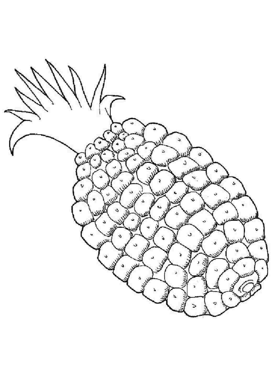 Раскраска Ананас