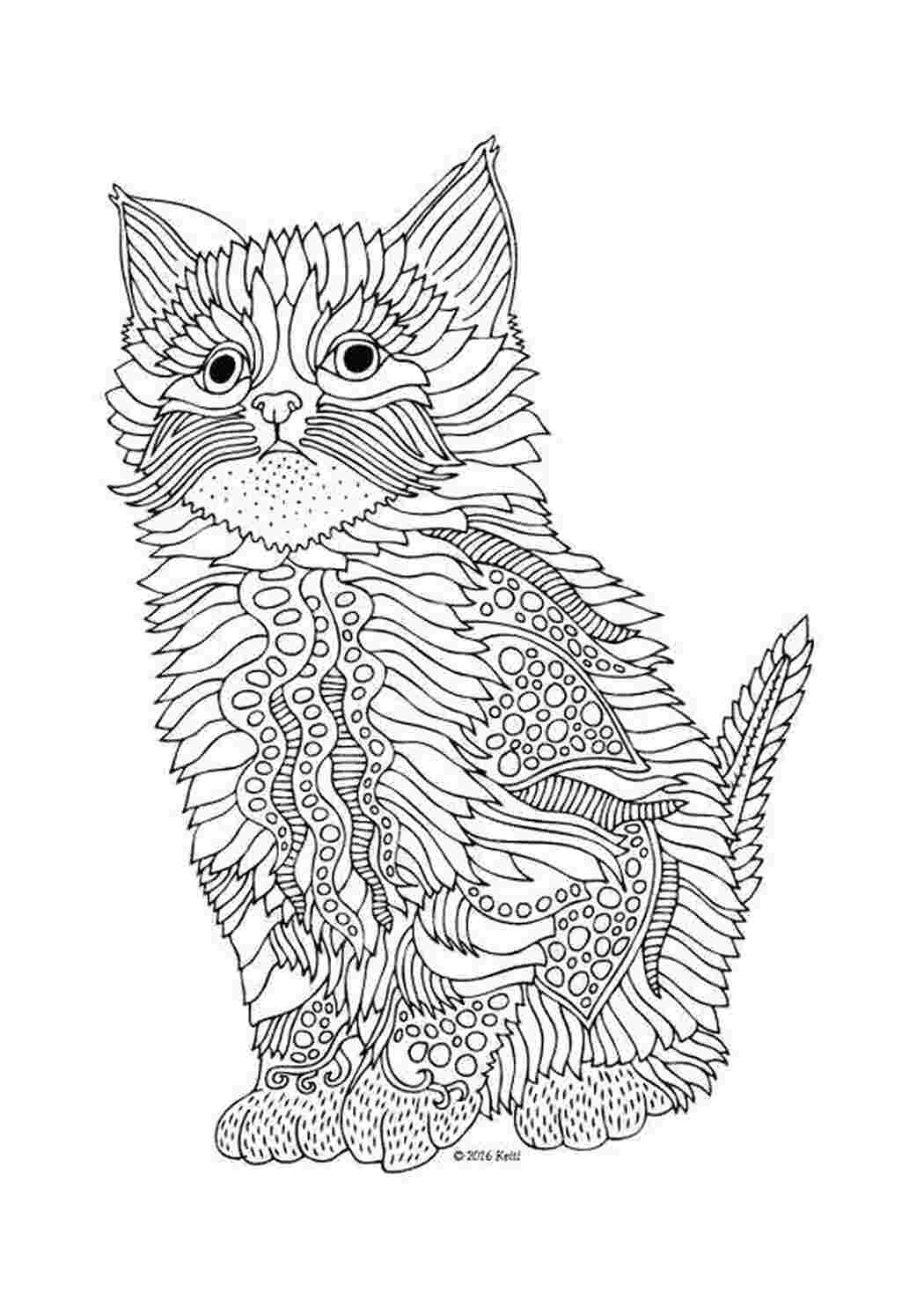 Раскраска Кот