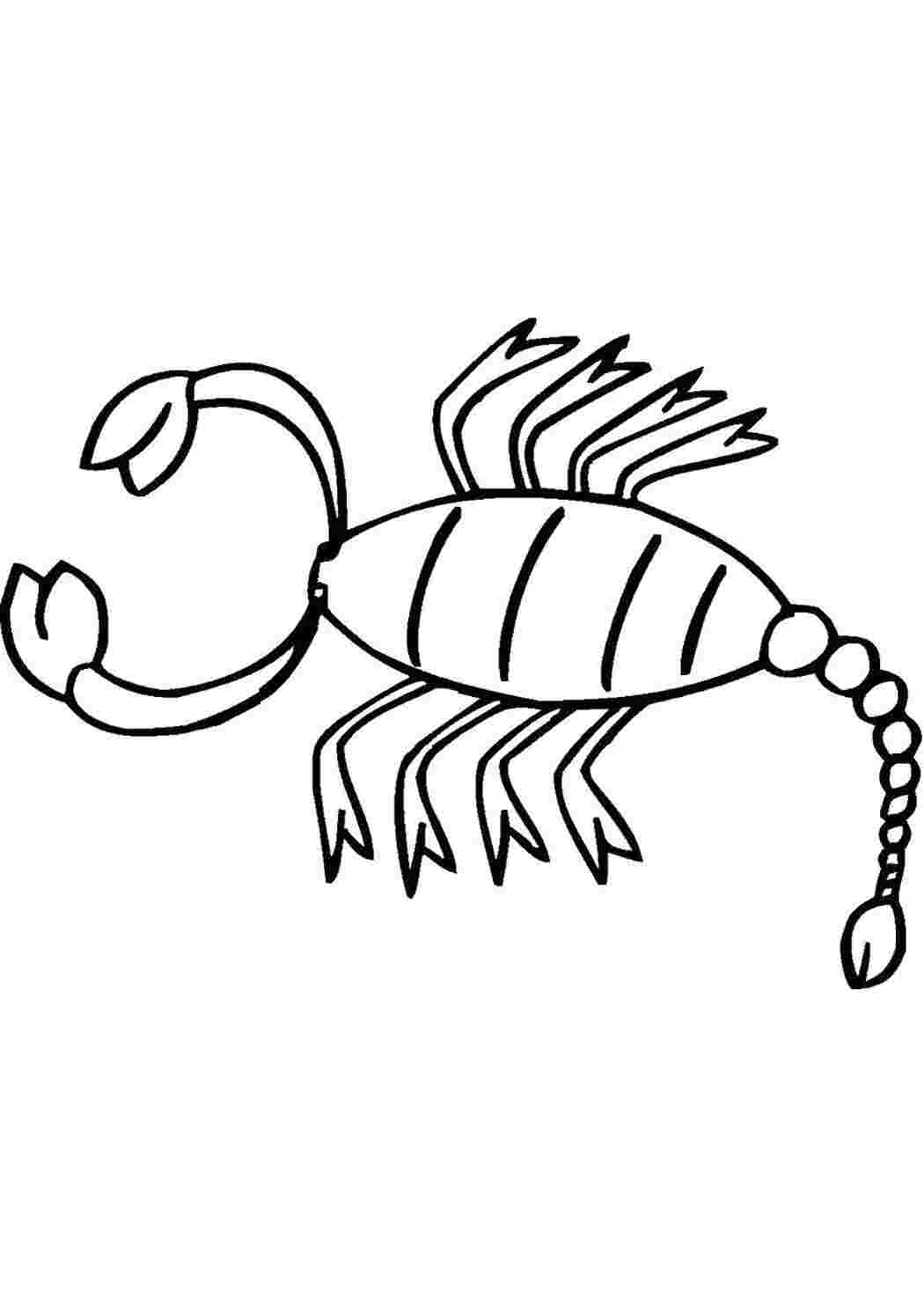 Раскраска Скорпион