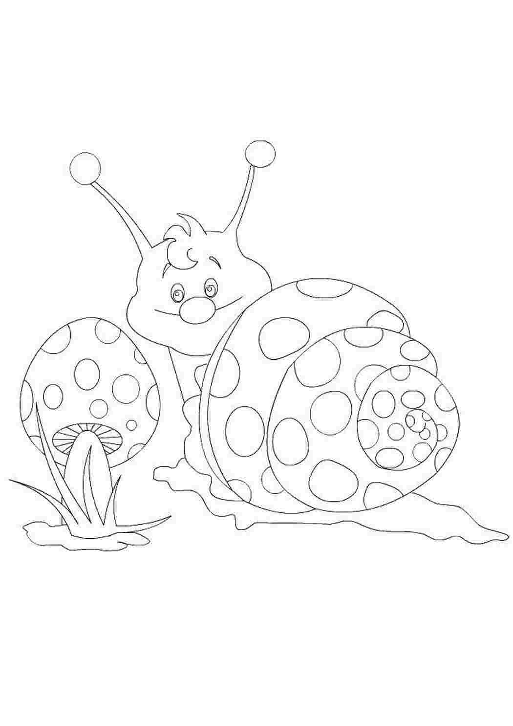 Раскраска Улитка
