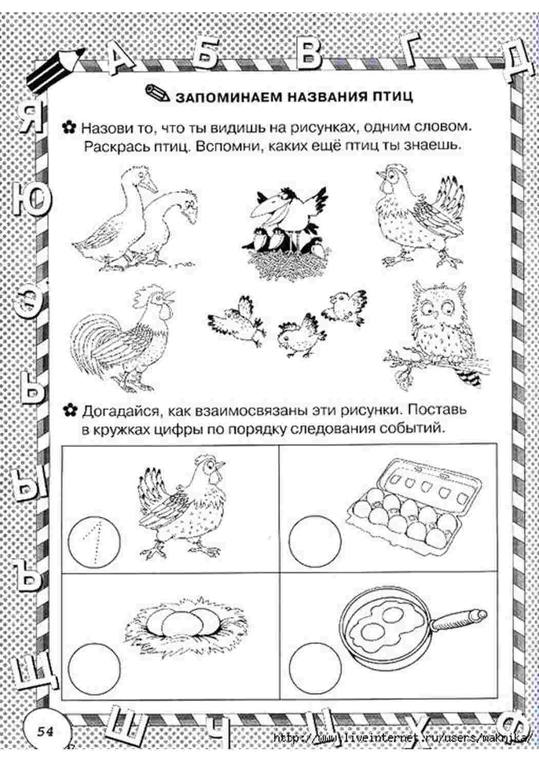 Домашнее задание по теме домашние птицы. Задания для дошкольников. Домашние птицы задания для дошкольников. Птицы задания для дошкольников. Домашние задания для дошкольников 5-6 лет.