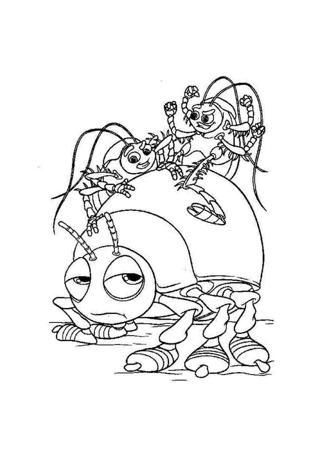 Раскраска Насекомые катаются