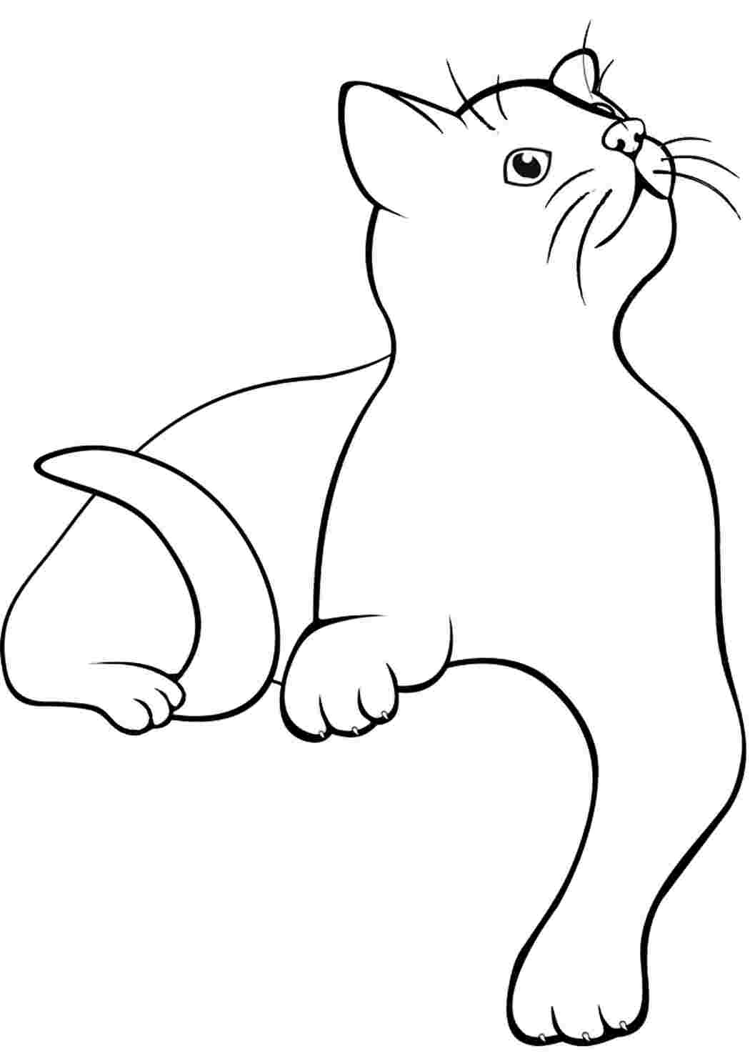 Кот сидит рисунок