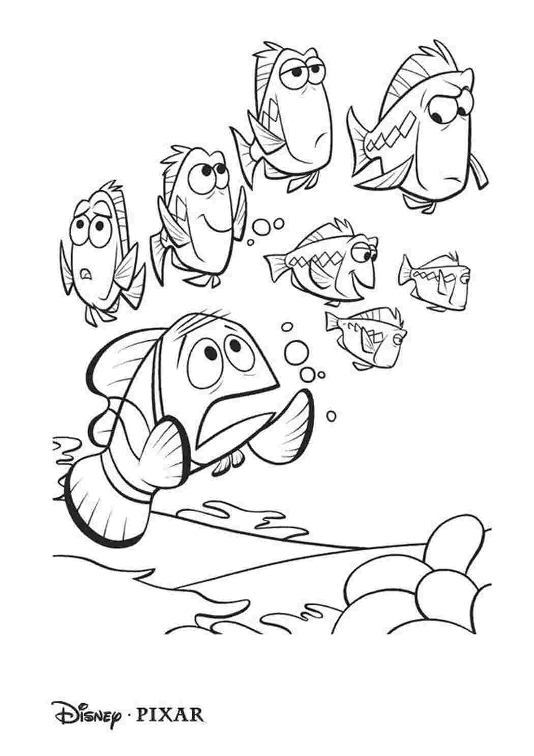 Раскраска немо