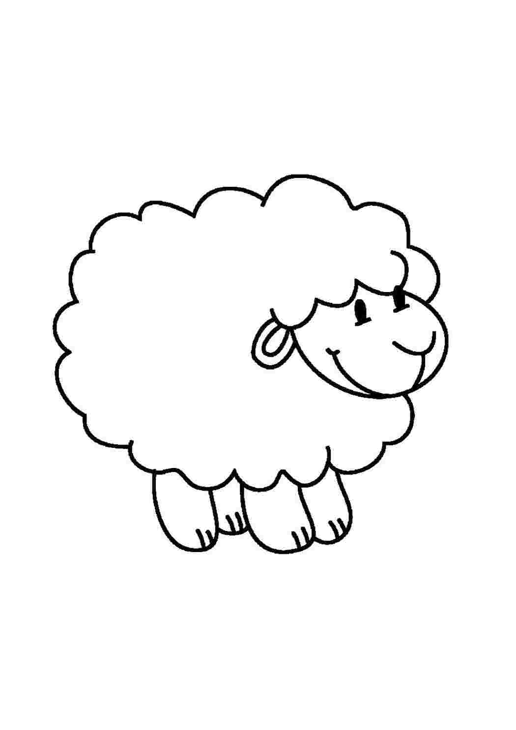 Раскраска Барашек