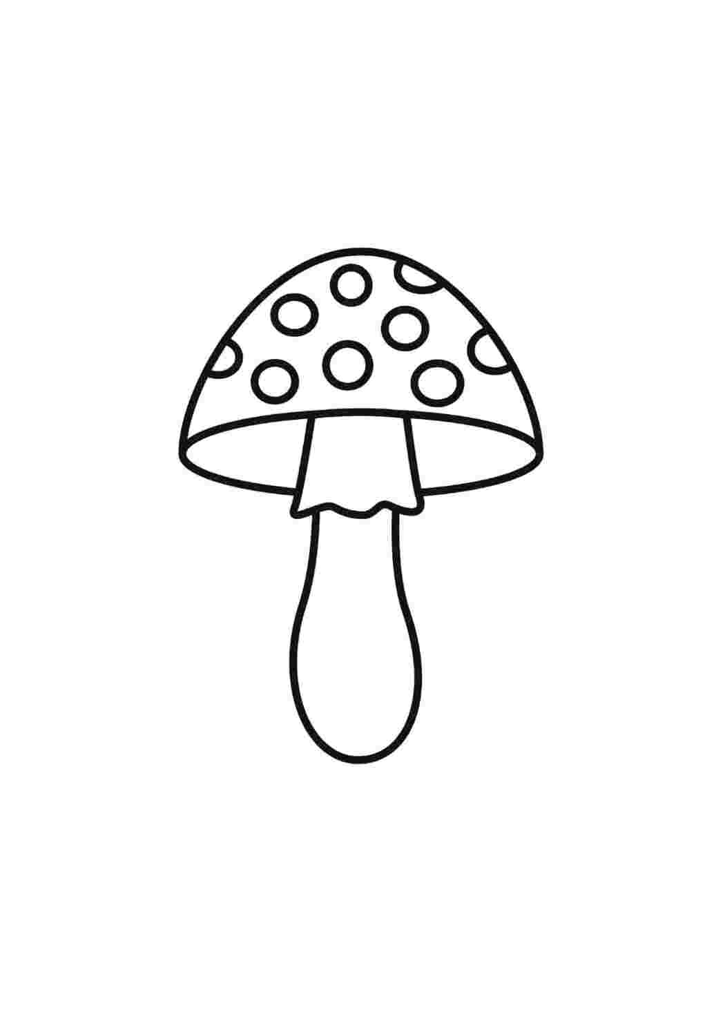 Раскраска гриб