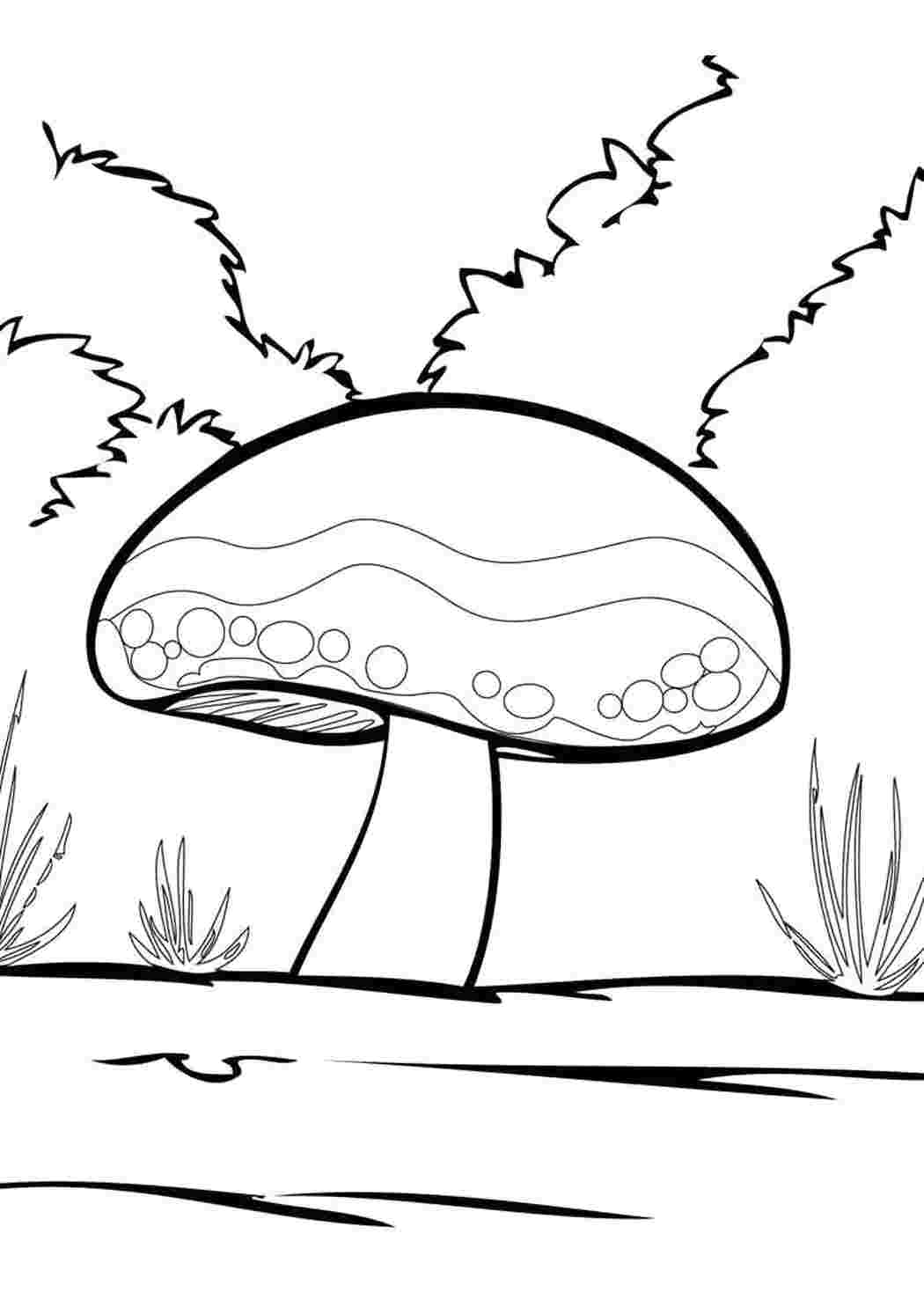 Раскраска гриб