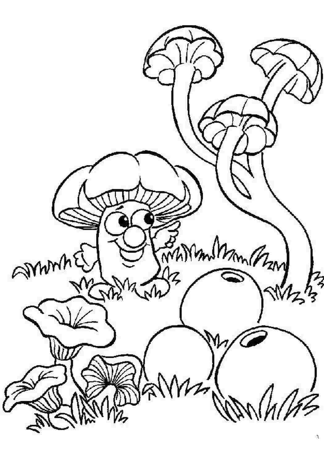 Раскраска Грибы