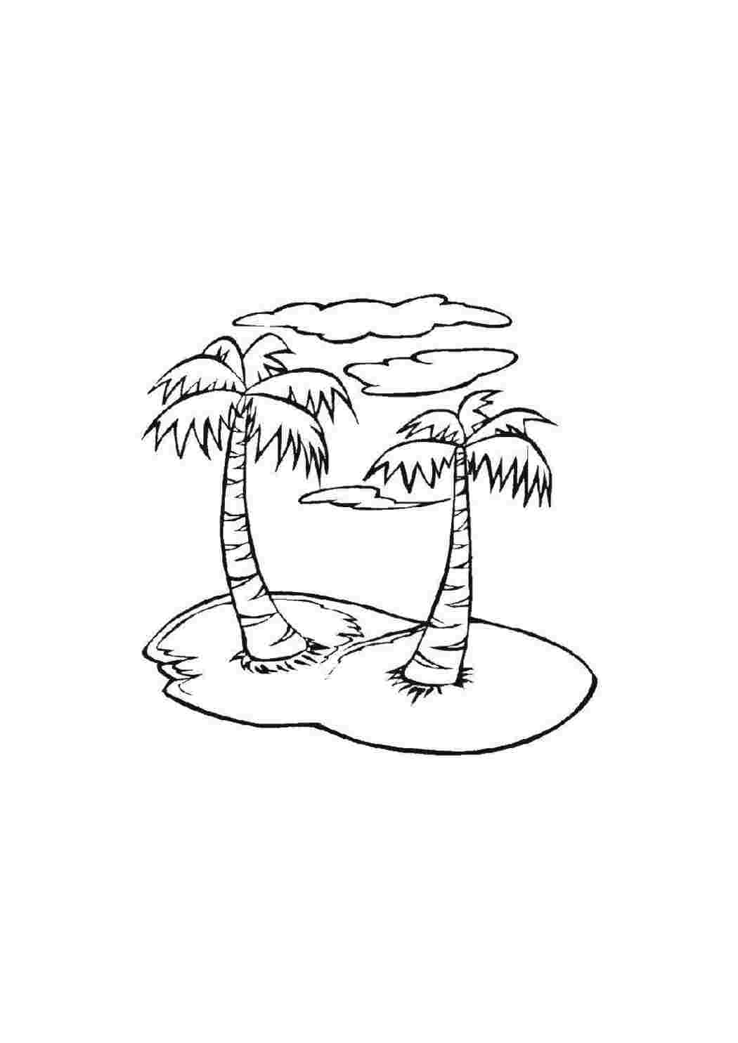 Раскраска Пальмочки на островке