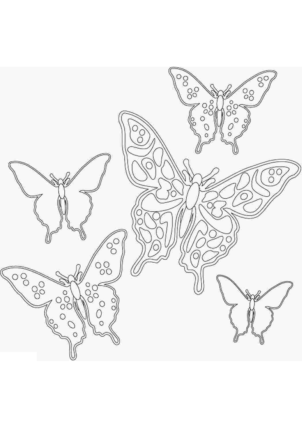 Раскраска Раскраски бабочек