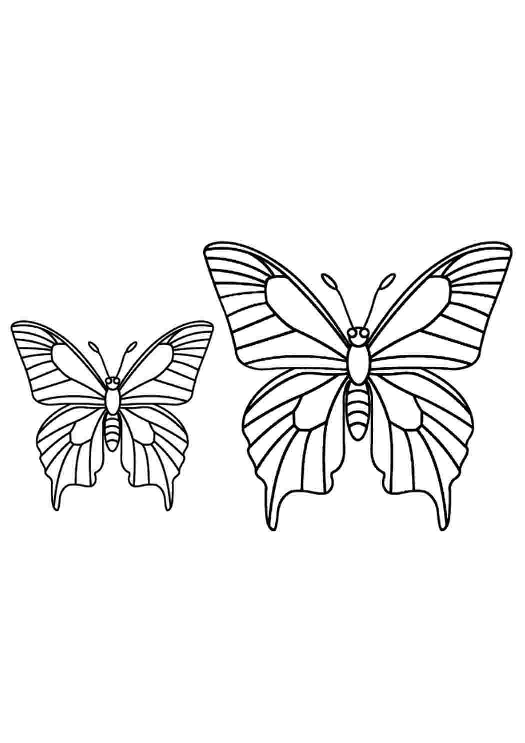 Раскраска 2 бабочки. Бабочка раскраска для детей. Бабочка черно белая раскраска. Раскраска бабочка для самых маленьких. Раскраски бабочки красивые.